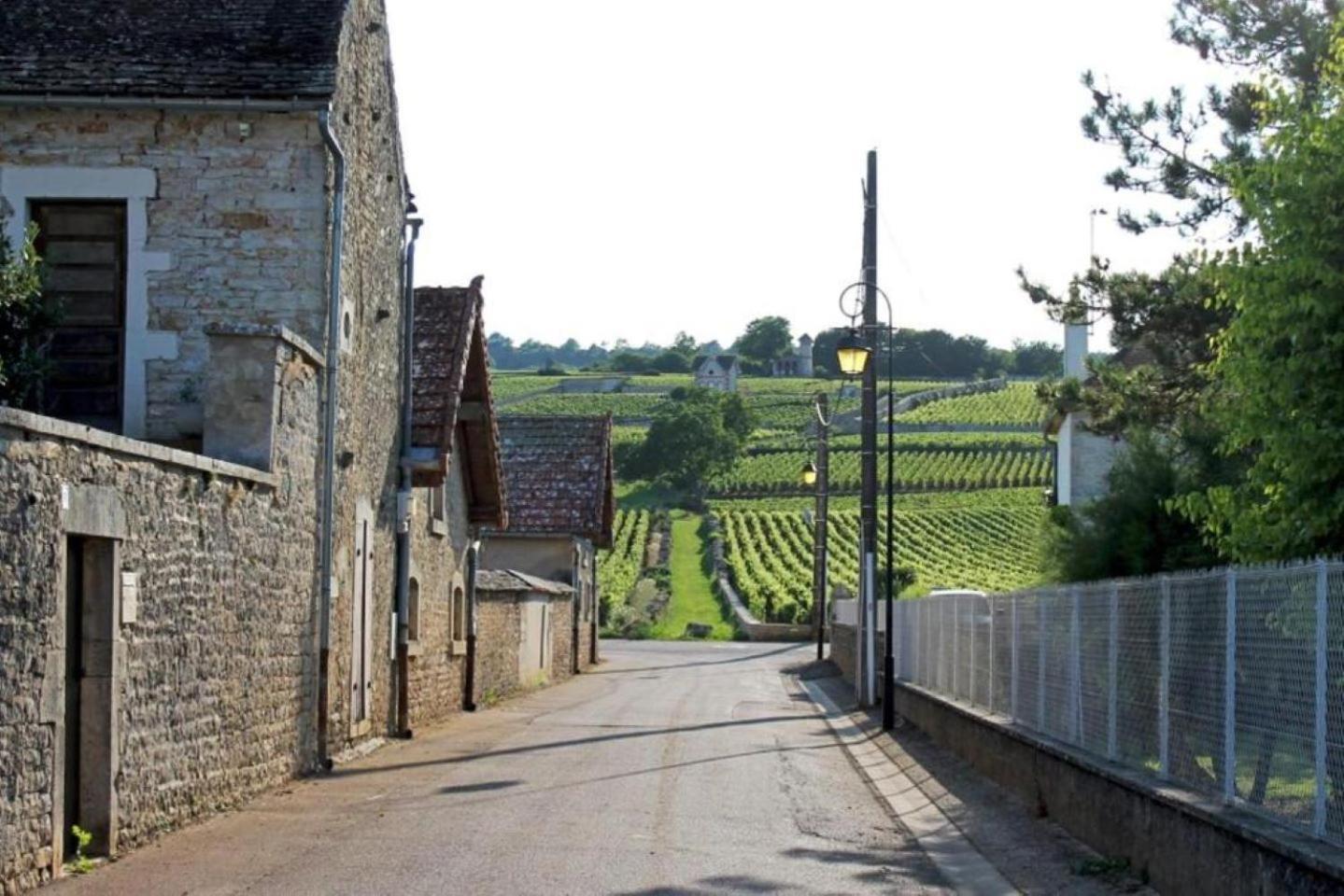 Le Lagon Bleu - Centre Ville - Maison Boucicaut - By Primo C0Nciergerie Chalon sur Saone Esterno foto